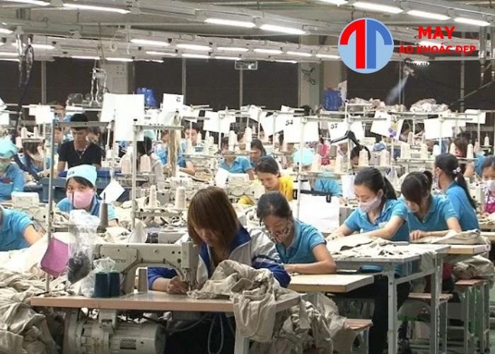 xưởng may áo thun local brand chuyên nghiệp